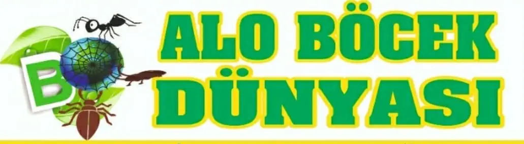 Alo Böcek Dünyası Logo